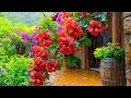 Lagu 99% Stress Relief in Minutes 🌺🌧️ Relaxing Music with Birdsong to Heal Your Mind \u0026 Relieve Sadness