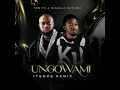 Ungowami (Njabulo Remix)