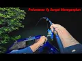 Download Lagu Luar Biasa ikan Besar Yg Selalu Di idamkan Para Pemancing Berhasil Saya Dapatkan, ikan Besar Melawan