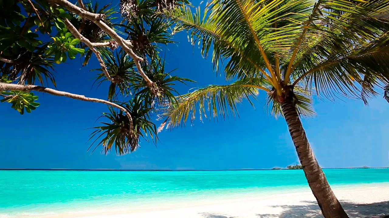 Calming Music - HD Beach Relaxation Calming Music - HD Beach Relaxation
