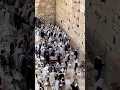 Download Lagu Jews praying during Passover at the Western Wall in Jerusalem, Israel 2025