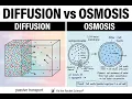 Diffusion vs Osmosis Made Simple Cell Transport Explained