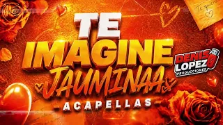 TE IMAGINE - LOS GREYS (JAUMINAA ACAPELLAS) / DJ DENIS LOPEZ