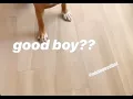 Isabela Merced s Feet Story