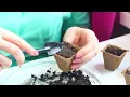 Top 10 Gardening Tips for February: Boost Your Garden's Health!