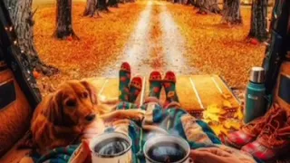 حالات واتس اب يا انا يا انا وياك فيروز 