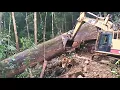 Download Lagu Kayu balak Sarawak