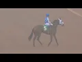 R7 Del Mar Nov 9 2025 Maiden Turf Sprint Thriller Full Breakdown Results