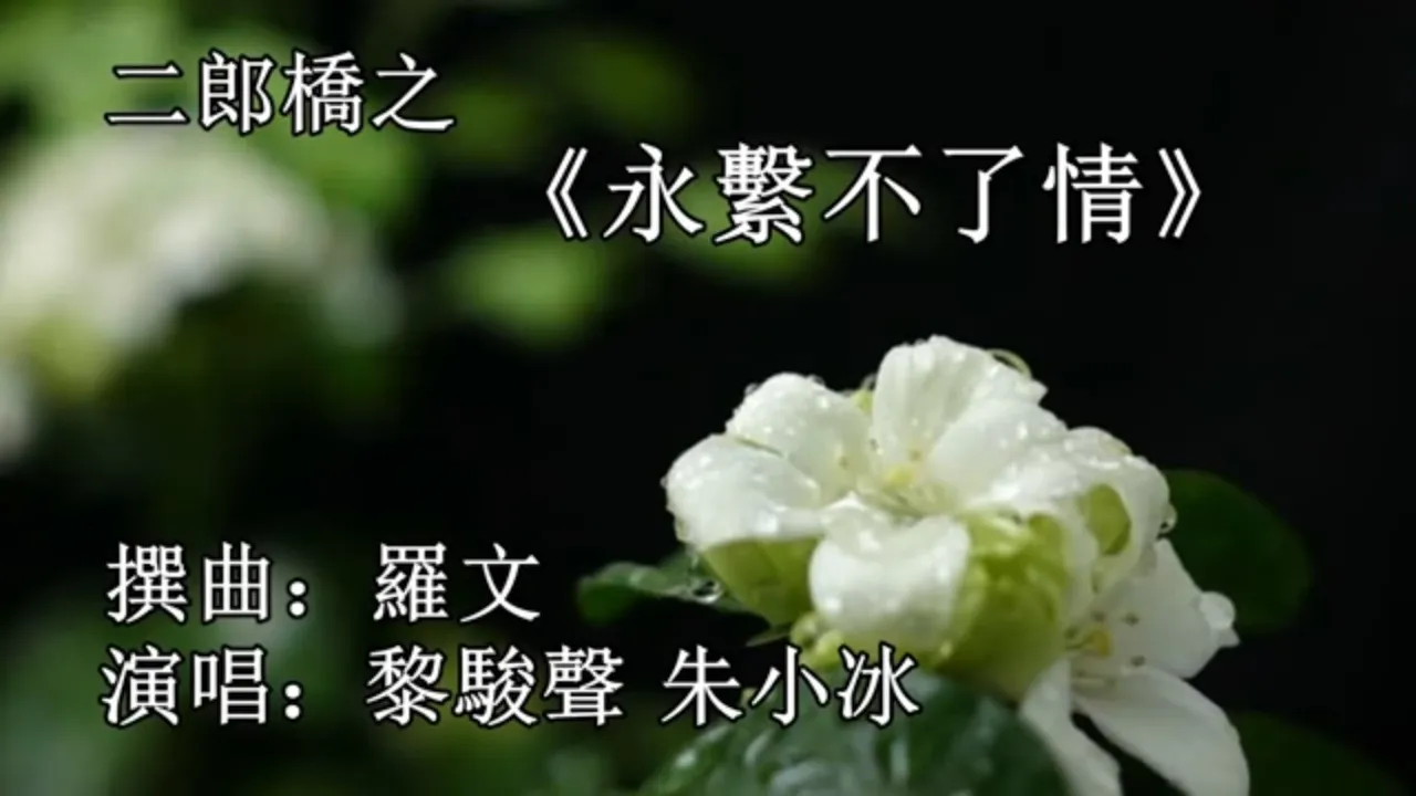 永繫不了情_黎駿聲 朱小冰 演唱 永繫不了情_黎駿聲 朱小冰 演唱