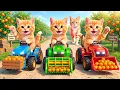 Mama Cat Trims Fur on the Farm and Makes Tiger Hat For Kittens At Home