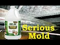 RMR 86 Pro Review Will it Remove Serious Chunky Mold