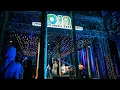MALIQ \u0026 D'ESSENTIAL - SENJA TEDUH PELITA | Live Performance at OJA Music Experience 2025