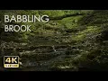 Download Lagu Babbling Brook - Trickling Forest Creek - Water Sounds - Relaxing Nature Video - 4K HDR