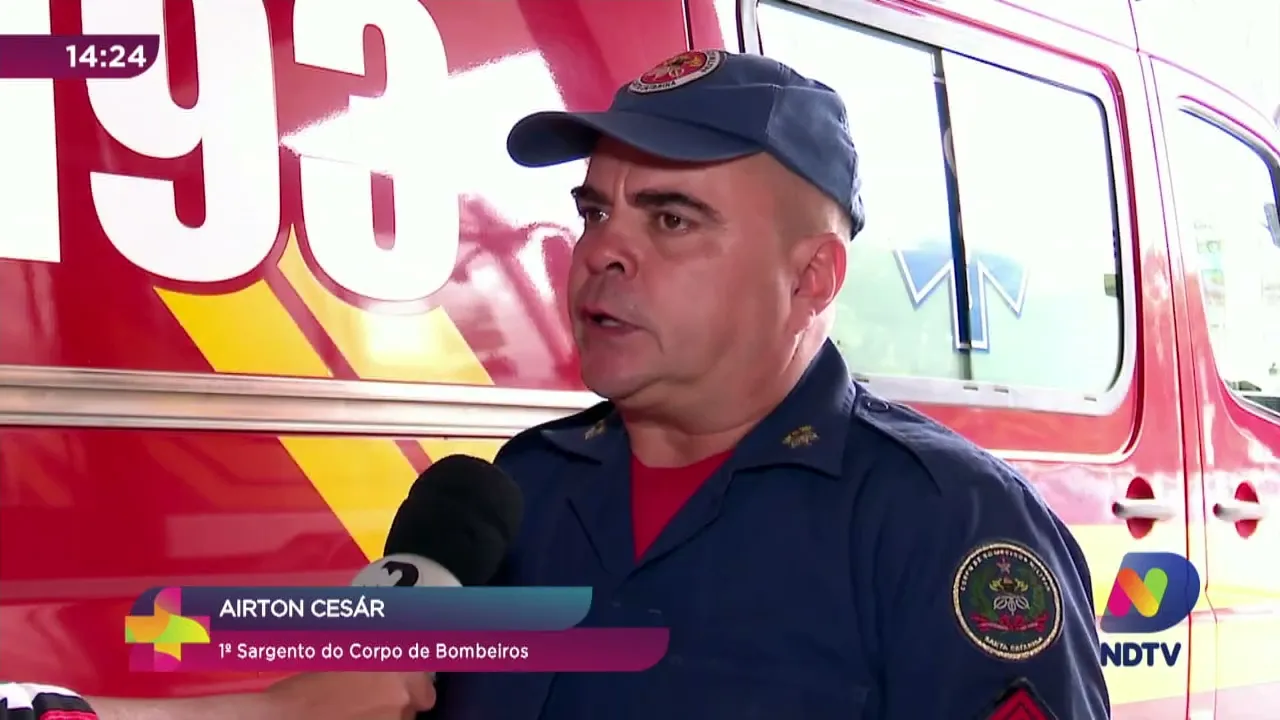 Abelhas com ferrão: saiba quais os cuidados que se deve ter com esses insetos