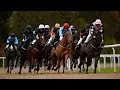 Free betting tips Sporting Life s daily horse racing Rest of the day