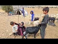Download Lagu Ruqyah and the Art of Sewing Sheep Milk: A Pleasant Experience with Children