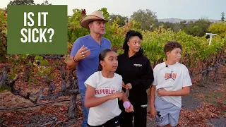 The Housley Farm: Our Vineyard Might Be Sick! | Episode 12