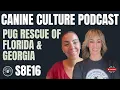 Pug Rescue of Florida Georgia S8E16