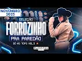 SELEÇÃO FORROZINHO PRA PAREDÃO 🪗 - SÓ AS TOPS  VOL.5 💥 - NOVEMBRO 2025 🆕 | Rannyel Remix 🔥