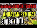 Download Lagu MP3 BURCIL RIBUT PALING DI CARI DAN PALING AMPUH, KOMBINASI BURCIL RIBUT, (M\u0026R Kicau mania) MP3