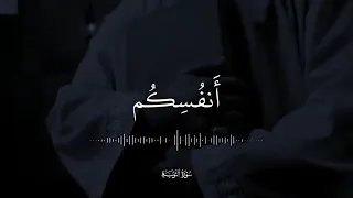 لقد جاءكم رسول من أنفسكم عزيز عليه ما عنتم حريص عليكم  بتلاوة تأخذ العقول للشيخ  عبدالباسط عبدالصمد دندنها
