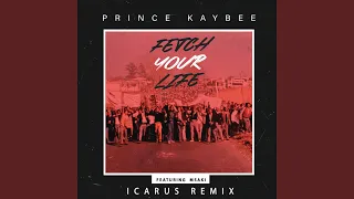 fetch your life icarus remix 