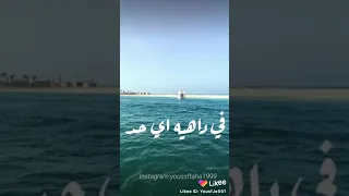 مهرجان مع السلامه اللي عايز يمشي ٢٠٢٠ 
