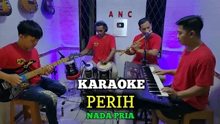perih karaoke elvy sukaesih nada pria