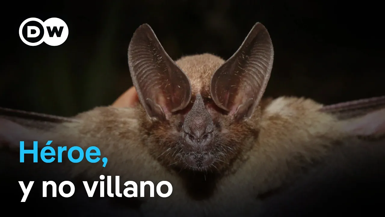 Conservación de una especie estigmatizada