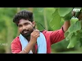 Download Lagu Trending songs #trending song2025 #dj song songs ranu mummy ki ranu