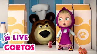 🔴 LIVE 📺 TV ⭐Todos los Cortos ⭐ Mejores 😲🤗 Masha y el Oso