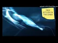 Eric Clapton - Unplugged - 10 Alberta - 432 hz
