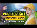 Lagu DJ REMIX POP BUMANIH JANJI ADEM BANGET