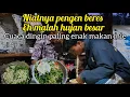Lagu HIDUP DI DESA || HUJAN DERAS PALING NIKMAT MAKAN MIE