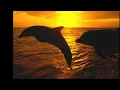 Placido Domingo. Veracruz.wmv