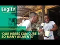 Download Lagu Our herbs can cure so many ailments if you follow instructions| Legit TV