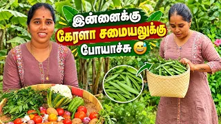 💁இன்னைக்கு கேரளா பக்கம் போயாச்சு😅🗓️Oct 15,2026@muthulakki