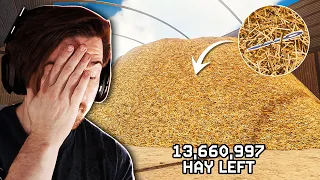 So there's a game about finding a needle in a haystack (and I actually did it)