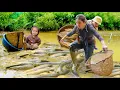 Download Lagu Catching Huge Carp to Sell – Grilled Fish Dinner with My Two Children