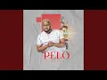 Download Lagu PELO