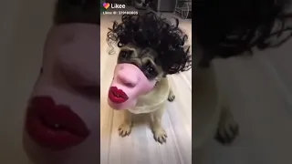 ١٤ أبريل ٢٠٢٠ 