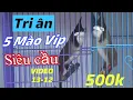 Lagu TRI ÂN - 5 MÀO VIP , SIÊU CẦU // NẾT GIỮ XOÈ MỀM LẮC GIẬT // GIÁ CHỈ TỪ 500K