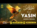 Download Lagu Relaxing Surah Yasin for Sleep, Depression, \u0026 Anxiety ✦ Yaseen سورة يس ✦ Soothing Quran ✦ Hejazi