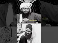 Download Lagu Engineer Muhammad Ali Mirza trending video Baba jani #islamicscholar  #palestine