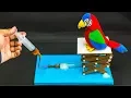 5 Cool Middle School Science Projects