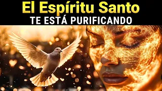 Descubre Cómo El Espíritu Santo Te Está Purificando ¿te Sientes Identificado?