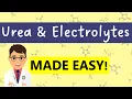 Download Lagu Urea \u0026 Electrolytes (U\u0026Es) interpretation |  7 MINUTE COMPLETE GUIDE