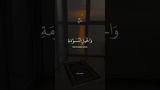 زين للناس حب الشهوات القارئ عبد الرحمن مسعد تلاوة جميلة وخاشعة 