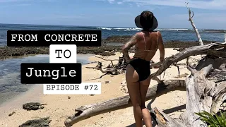 From Concrete to Jungle, Family reunited after a month apart:   EP72