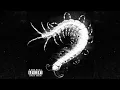 Download Lagu StrikeR - Skolopendra